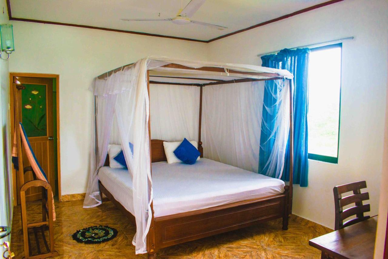 Surfers paradise midigama Weligama Extérieur photo